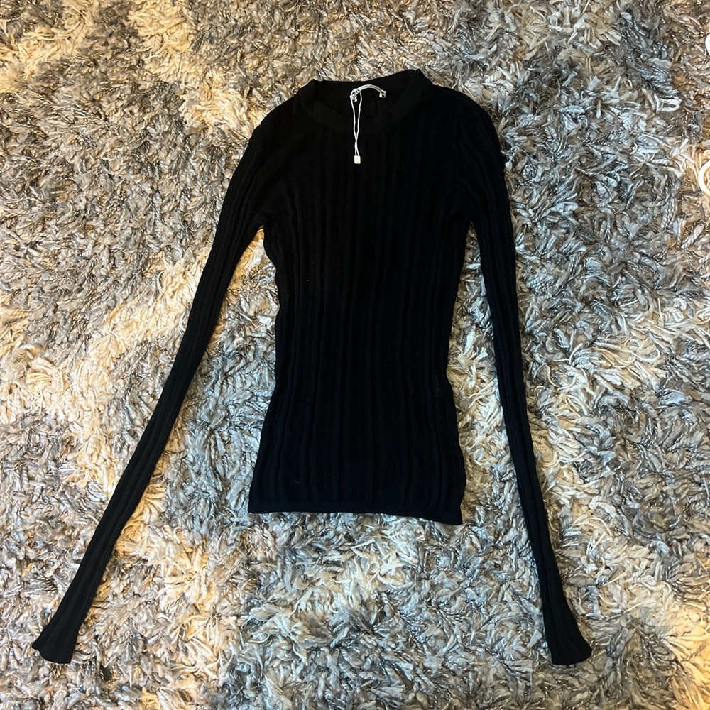Zara See Through Long Sleeve